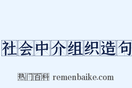 社会中介组织造句是什么意思的图片